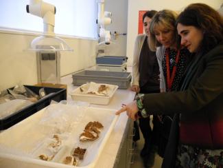 Inés Sánchez de Madariaga clausura la Semana Mujer y Ciencia