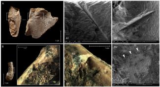 Turtles were complementary food for humans 400,000 years ago