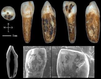 Spain and China collaborate in the study of the most important Pleistocene sites in Asia