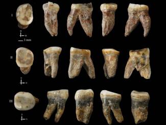 The mysterious Xujiayao hominin