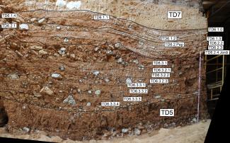 El nivel geológico de Homo antecessor muestra todos sus secretos