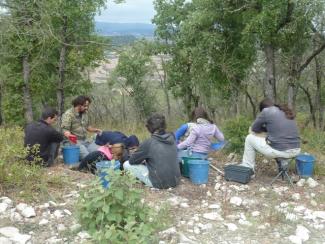 El CENIEH cierra una exitosa campaña de excavaciones en Treviño