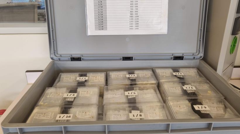 Primera caja de la recogida de dientes del proyecto