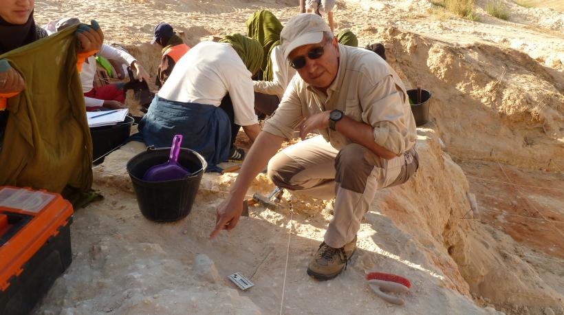 A view of Tighennif excavation in 2019 with the Principal Investigator pointing out to an Acheulean biface being exposed (Photo credit M. Sahnouni).